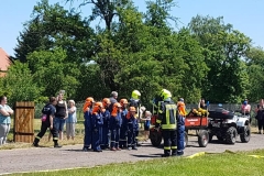 65280485_911805082499857_5430640315025326080_n